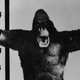 King Kong in 1933 posing with regular-sized apes